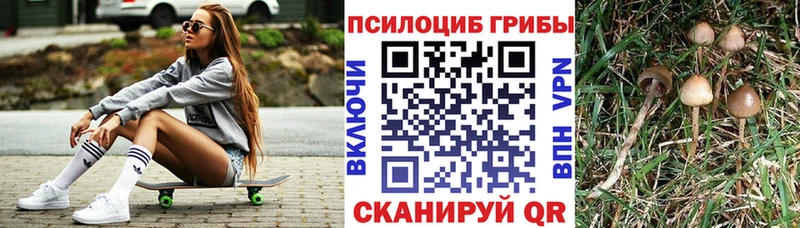 Купить где  Надым  Галлюциногенные грибы Magic Shrooms 