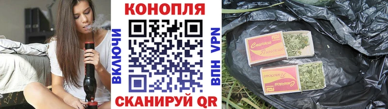Купить где  Надым  Канабис сатива 